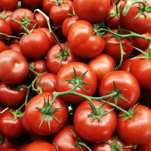 토마토와 남성 정자 건강